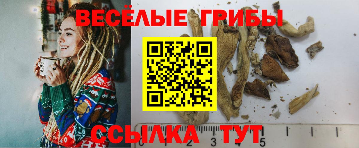 Псилоцибиновые грибы Psilocybine cubensis  Вход с VPN  Ханты-Мансийск 